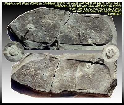 1968年，美國專家米斯特在美國猶他州發現踩在三葉蟲上的人類鞋印化石。